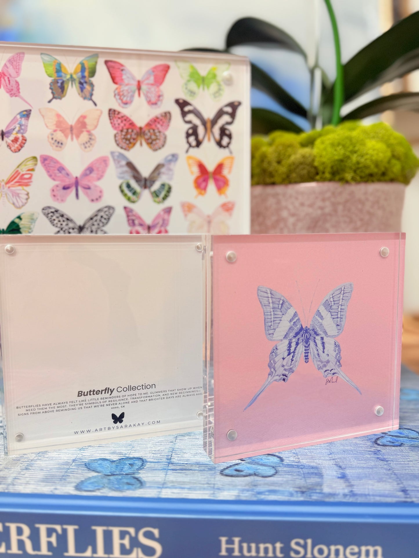 Limited Edition 5x5" Butterfly Print