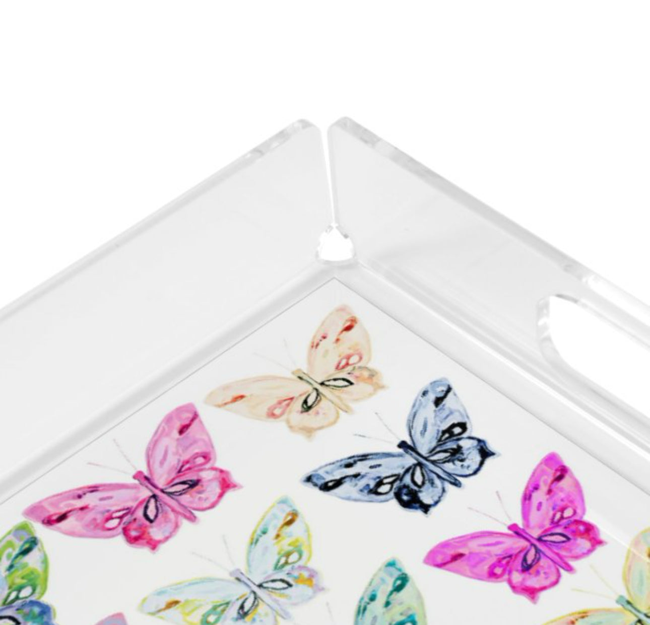 Butterfly Tray: just arrived!