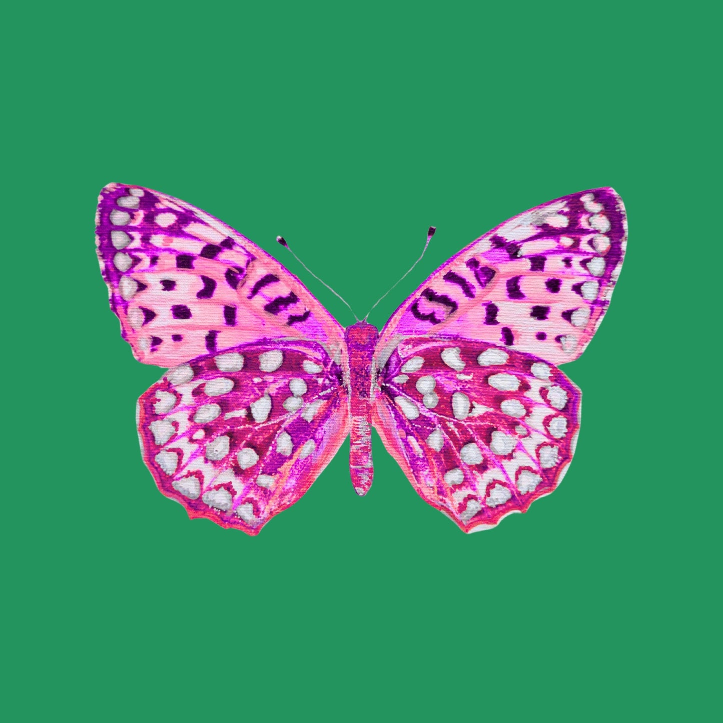 Limited Edition 5x5" Butterfly Print