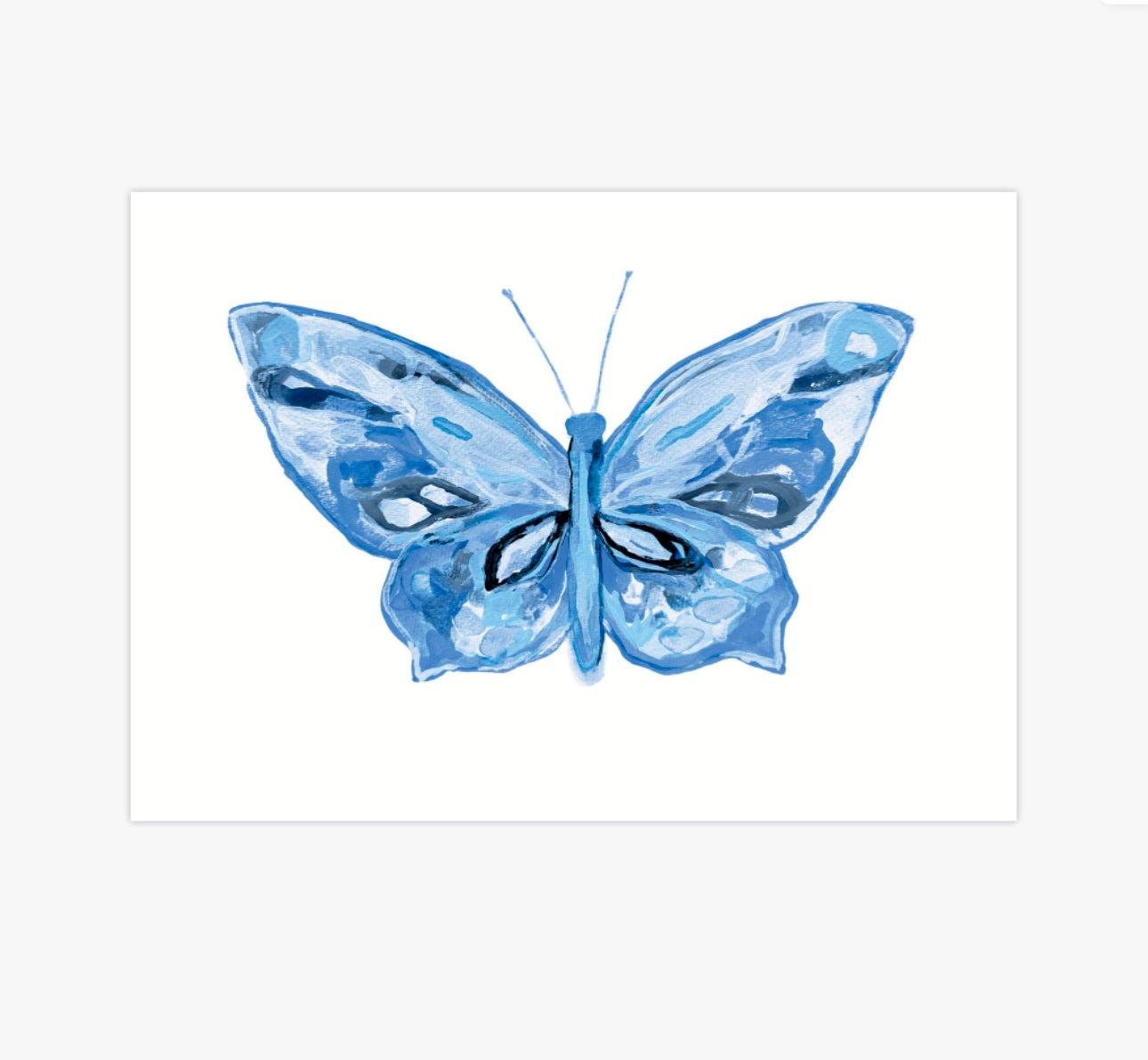 “Blue & Blue” Butterfly,  print